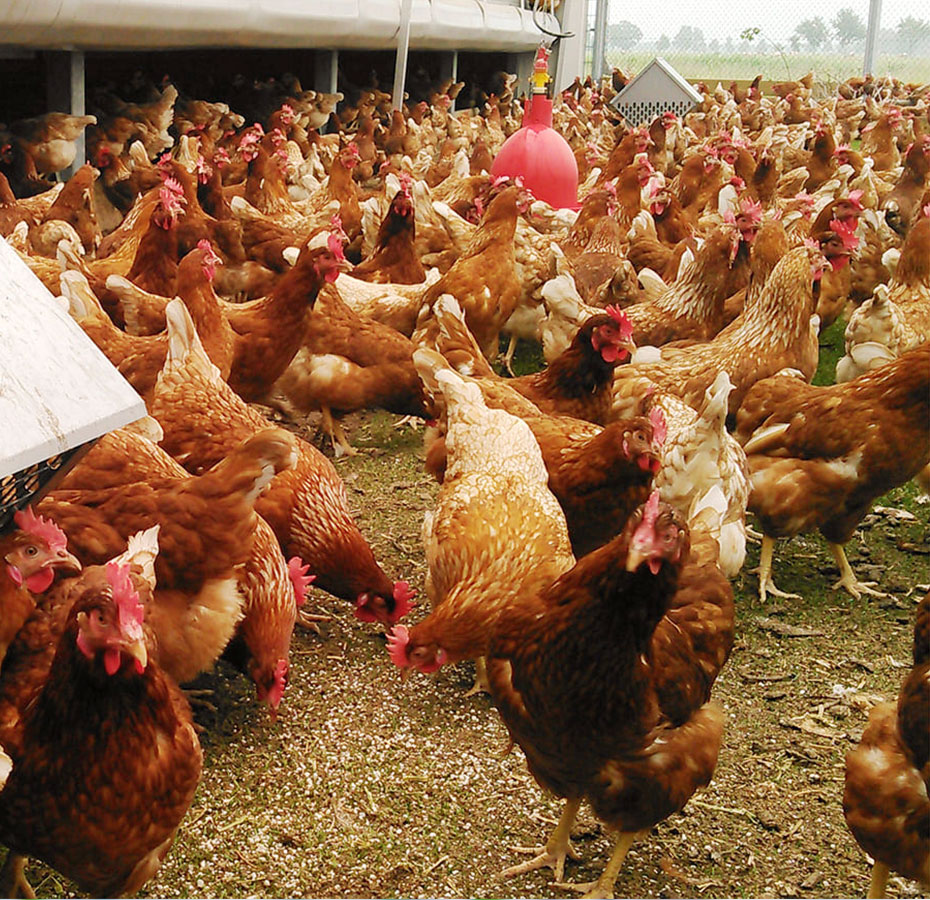 その他の取り組み